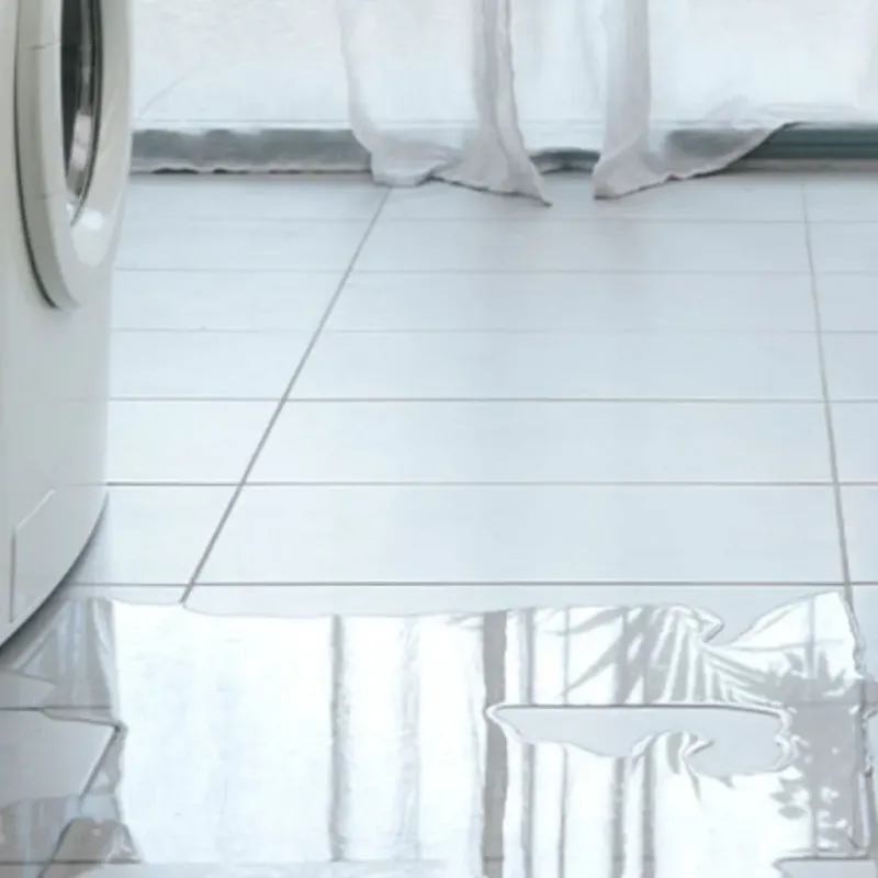 Appliance Leak Cleanup in Carrington, ND