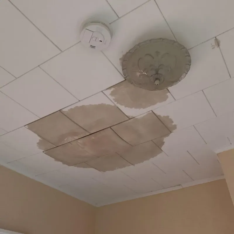 Ceiling Water Damage Repair in Carrington, ND