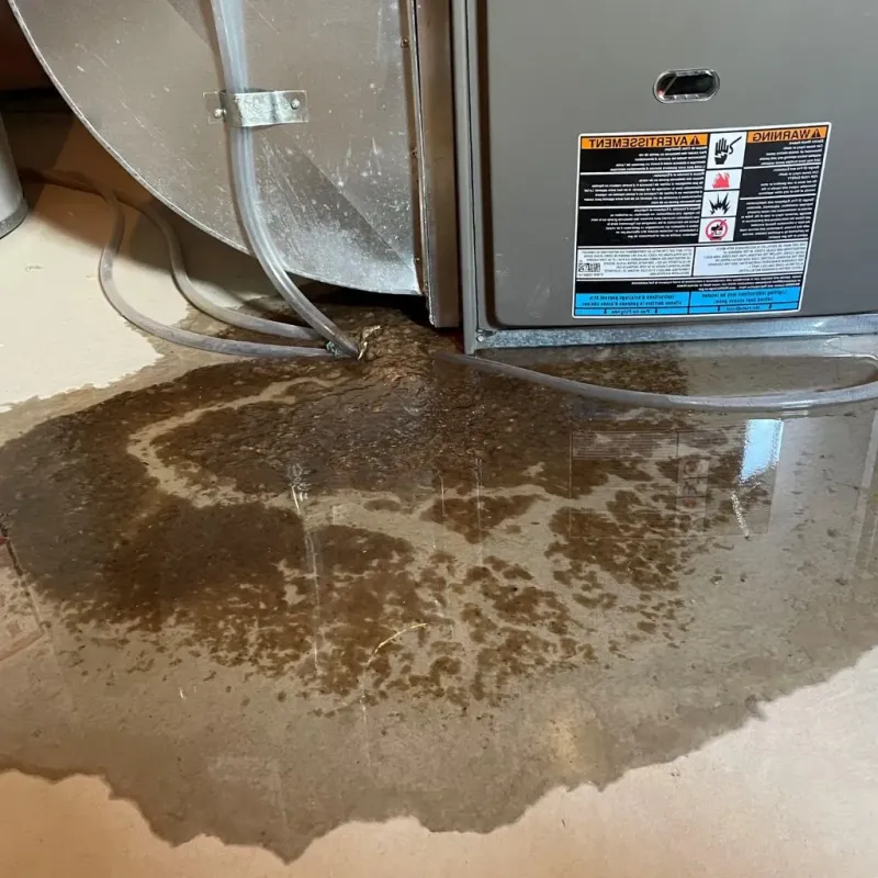 Pipe Burst and Leak Restoration in Carrington, ND