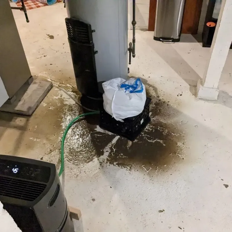 Sewage Backup Cleanup Service in Carrington, ND
